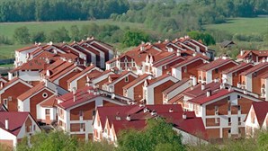 Василий Тихонов принял участие в заседании Экспертного совета Комитета Государственной Думы по жилищной политике и жилищно-коммунальному хозяйству.